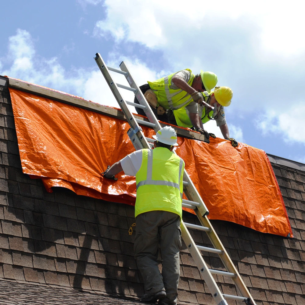 3 people on top of a house rooftop
